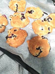 ブルーベリースコーン