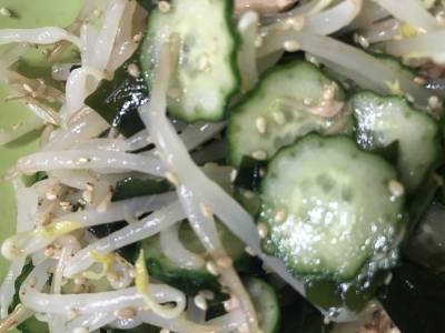 もやしの中華サラダ