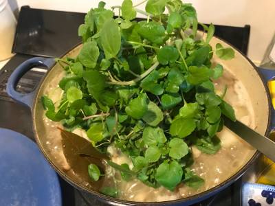 発酵豚と新じゃがのスープ