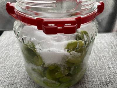 割り梅の甘露漬け