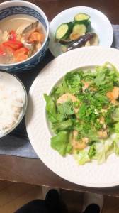 鶏むね肉の青じそバターソテー