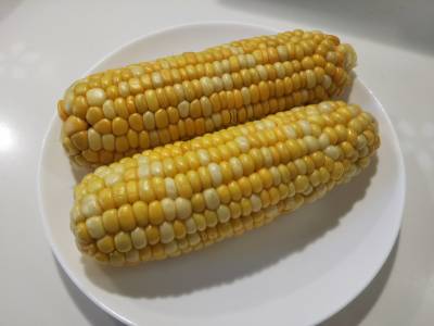 これぞとうもろこし！