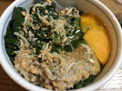 モロヘイヤと納豆のしそごま丼