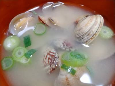 あさりのみそ汁