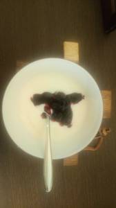 ブルーベリーパンケーキ