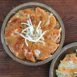 豚肉と野菜のギョーザ