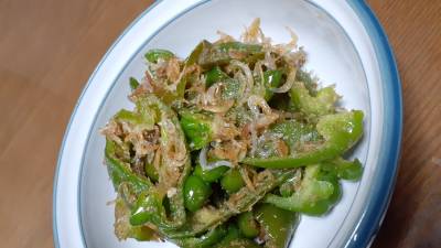 ピーマンとじゃこのきんぴら （写真右上）