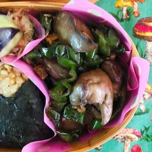 ピーマンと鶏レバーの炒め煮