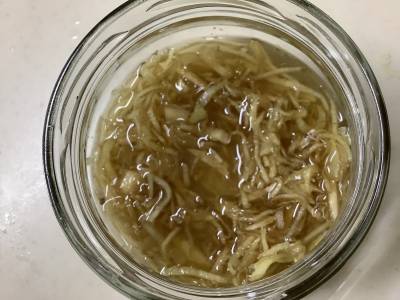 ジンジャーハニー