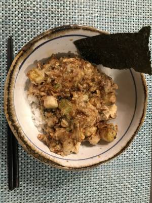 ねぎ天丼