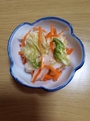 白菜とにんじんの塩こうじ漬け