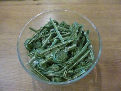 春の山菜ナムル