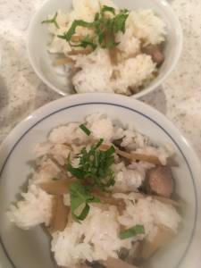 鶏ごぼうの混ぜご飯