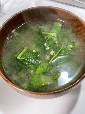 大根のみそ汁