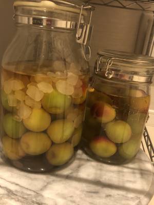 青梅の酢漬け