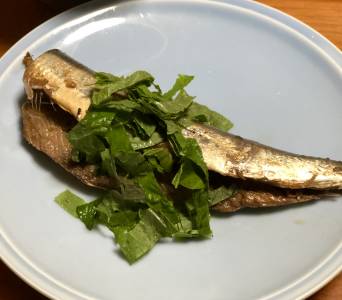 いわしの酢煮