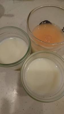 ミルク寒天 ジンジャーシロップがけ