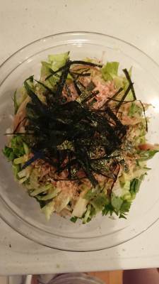 ニッポンのサラダ