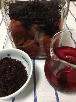 梅干し-簡単袋漬け-3土用干し