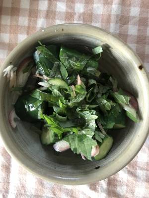 きゅうりとみょうがのさっぱりサラダ