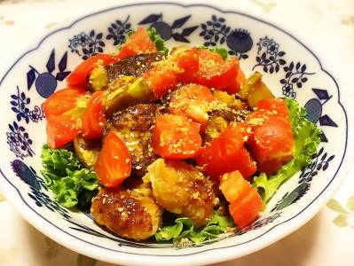 なすと豚肉のさっぱり焼きびたし