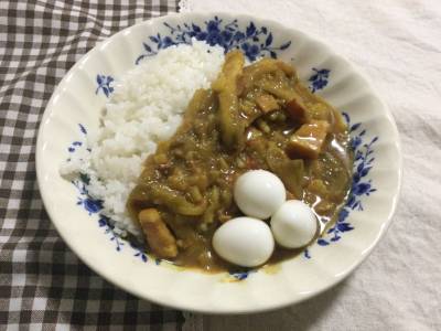 山ほどなすカレー