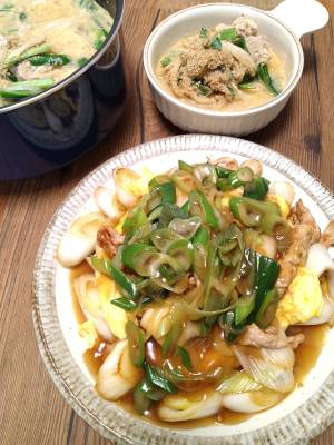 ねぎたっぷり！肉卵炒めオイスターあんかけ