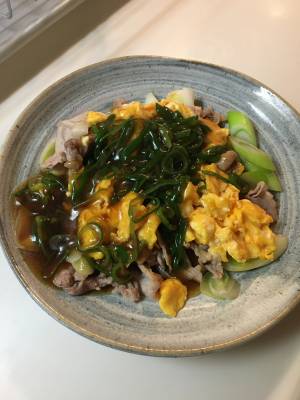ねぎたっぷり！肉卵炒めオイスターあんかけ