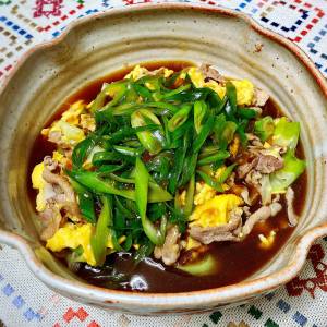 ねぎたっぷり!肉卵炒めオイスターあんかけ
