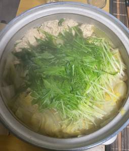 白菜と鶏だんごの小鍋