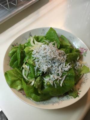 春菊のカリカリじゃこサラダ