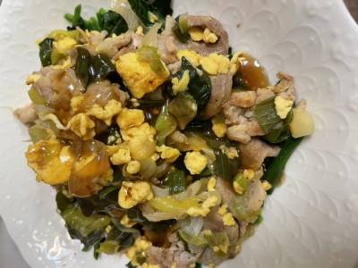 ねぎたっぷり！肉卵炒めオイスターあんかけ