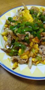 ねぎたっぷり！肉卵炒めオイスターあんかけ