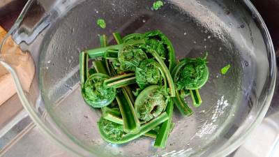 春の山菜ナムル