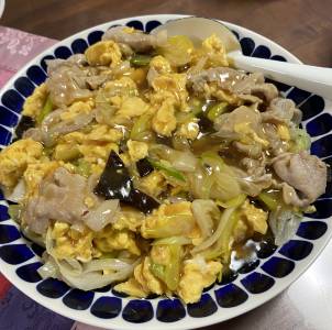 ねぎたっぷり！肉卵炒めオイスターあんかけ