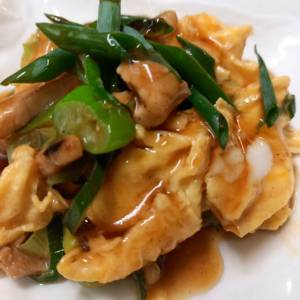 ねぎたっぷり！肉卵炒めオイスターあんかけ