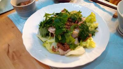 焼きしゃぶと香り野菜のごま酢がけ