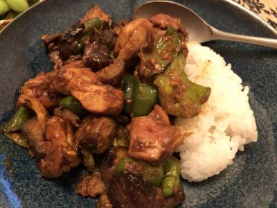 なすと鶏肉のドライカレー