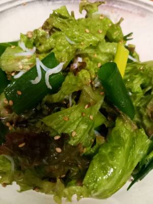 感嘆サラダ