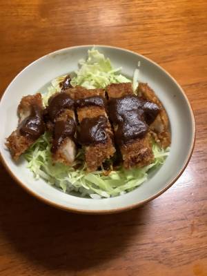 みそカツ丼