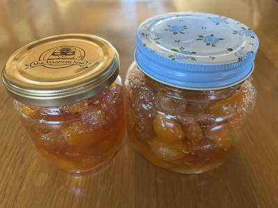 金柑(きんかん)マーマレードのババロア