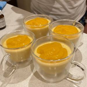 マンゴープリン