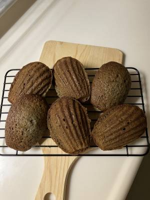 マドレーヌ　セザム