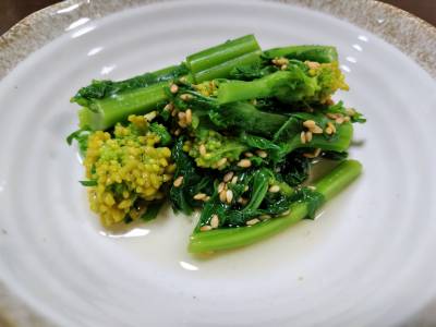 菜の花のおひたし