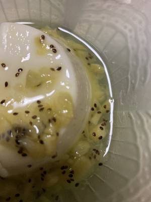 パンナコッタ キウイソース