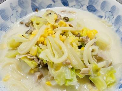 煮込みチャンポンうどん
