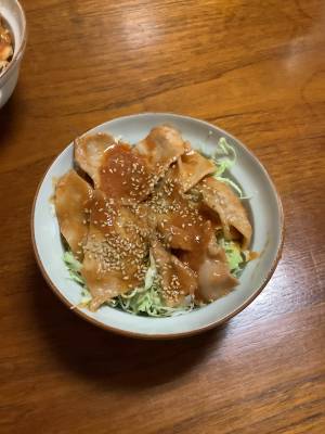 豚肉のみそケチャ丼