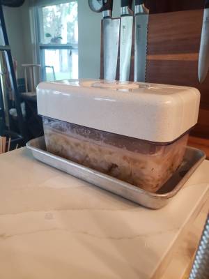 ザワークラウト