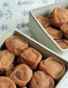 塩分5%のはちみつ梅干し