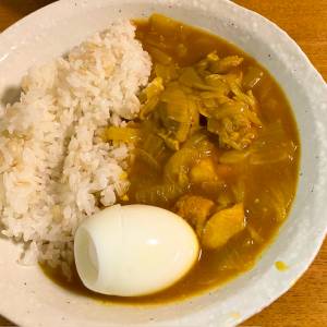 チキンカレー